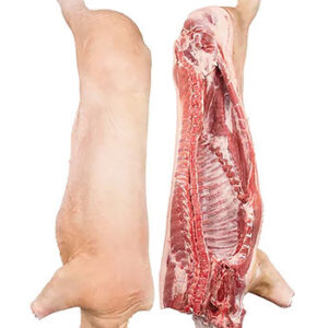 Bulk Frozen Pork Hogs – Whole Hogs for Wholesale & Bulk Purchase